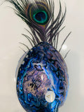 Paua Shells A Grade