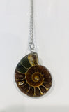 Ammonite Fossil Necklace