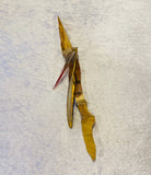 Paulo Santo Wood Athame